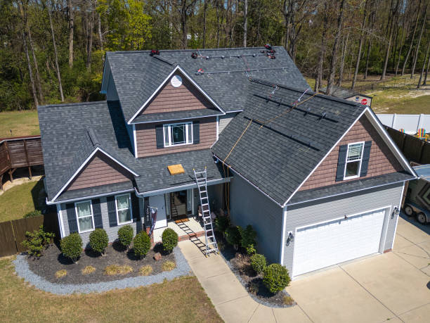 Best Roof Moss and Algae Removal  in Vail, AZ